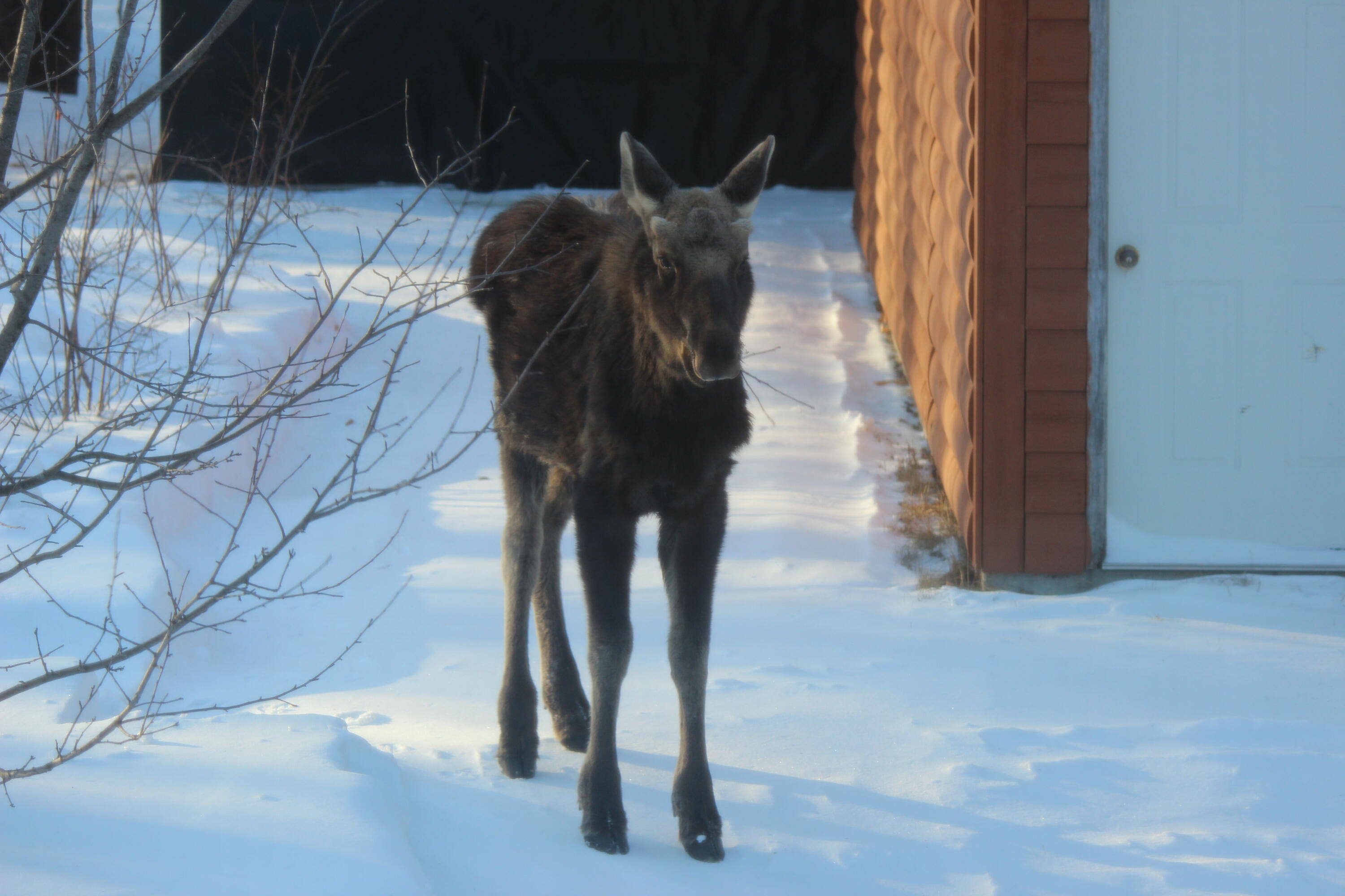 41 Jackson Brook Lane Monson ME 04464