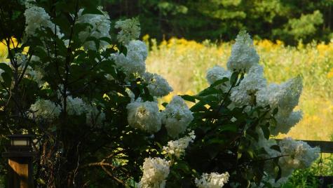 10 Chase Mill Road Limington ME 04049