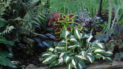 10 Chase Mill Road Limington ME 04049