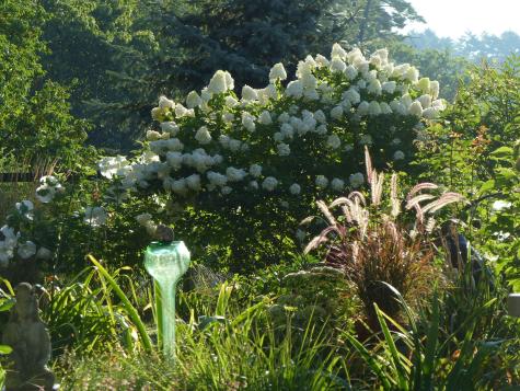 10 Chase Mill Road Limington ME 04049