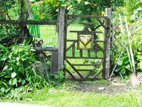 10 Chase Mill Road Limington ME 04049