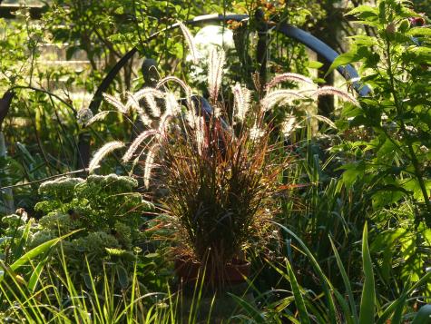 10 Chase Mill Road Limington ME 04049