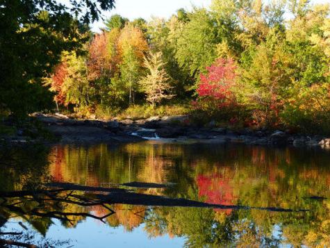 10 Chase Mill Road Limington ME 04049