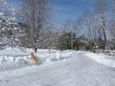 10 Chase Mill Road Limington ME 04049