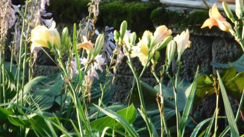 10 Chase Mill Road Limington ME 04049