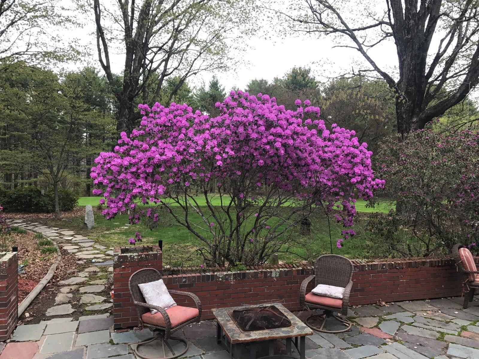 109 Sahagian Road Belgrade ME 04917