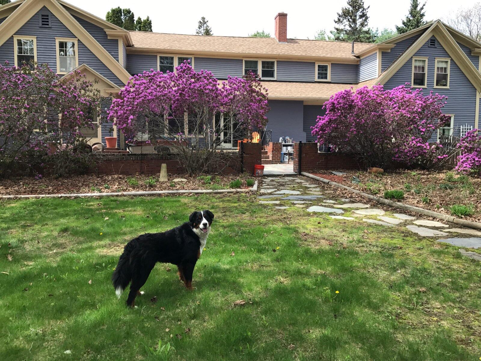 109 Sahagian Road Belgrade ME 04917