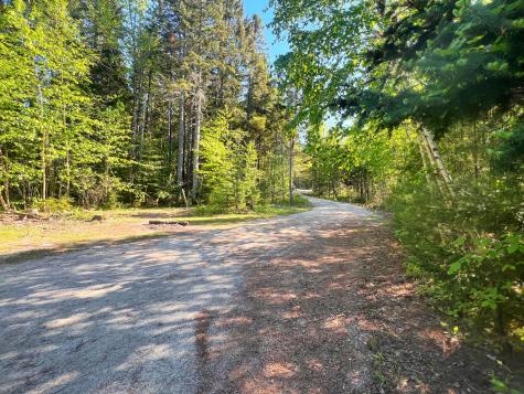 24 Forest Lane Trenton ME 04605