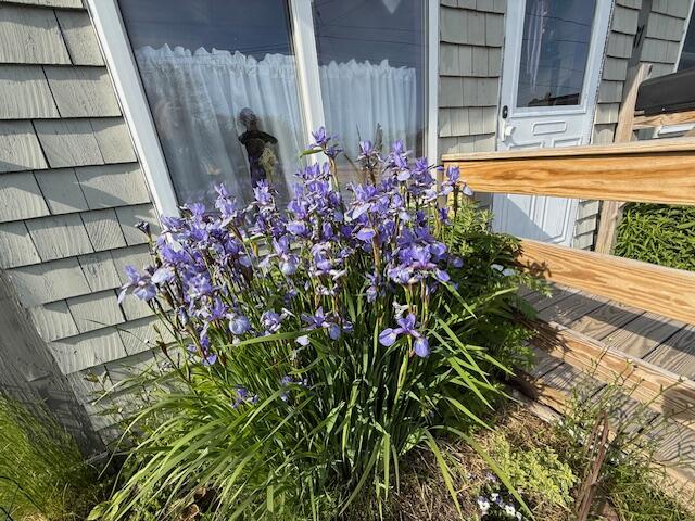 17 Pleasant Street Eastport ME 04631