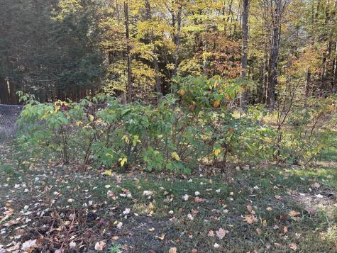 89 Hall Hill Road Dixfield ME 04224