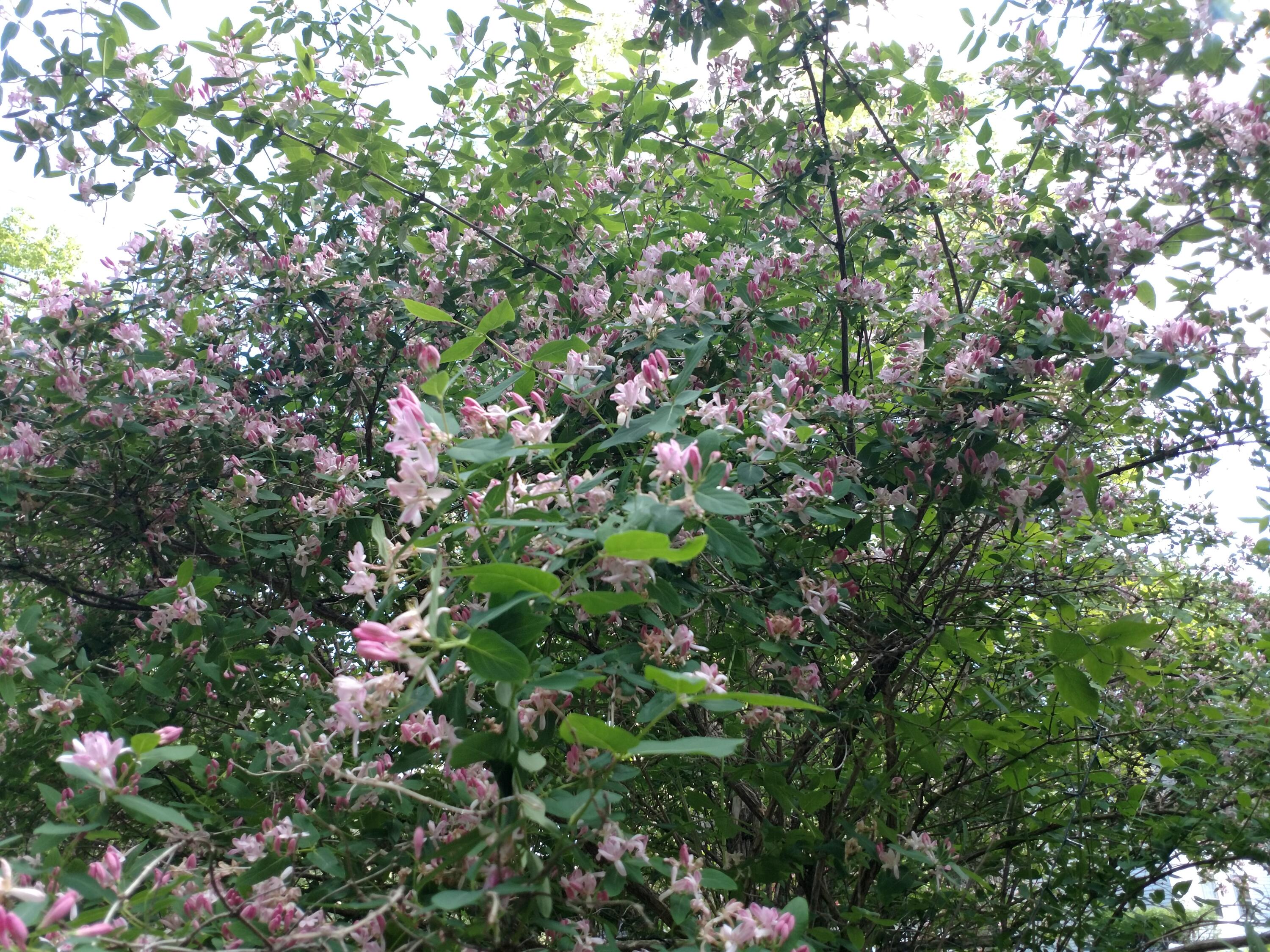 16 Mann Road Shapleigh ME 04076