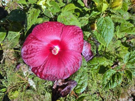 10 Swale Lane Lewiston ME 04240