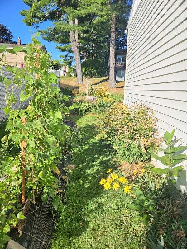 10 Swale Lane Lewiston ME 04240