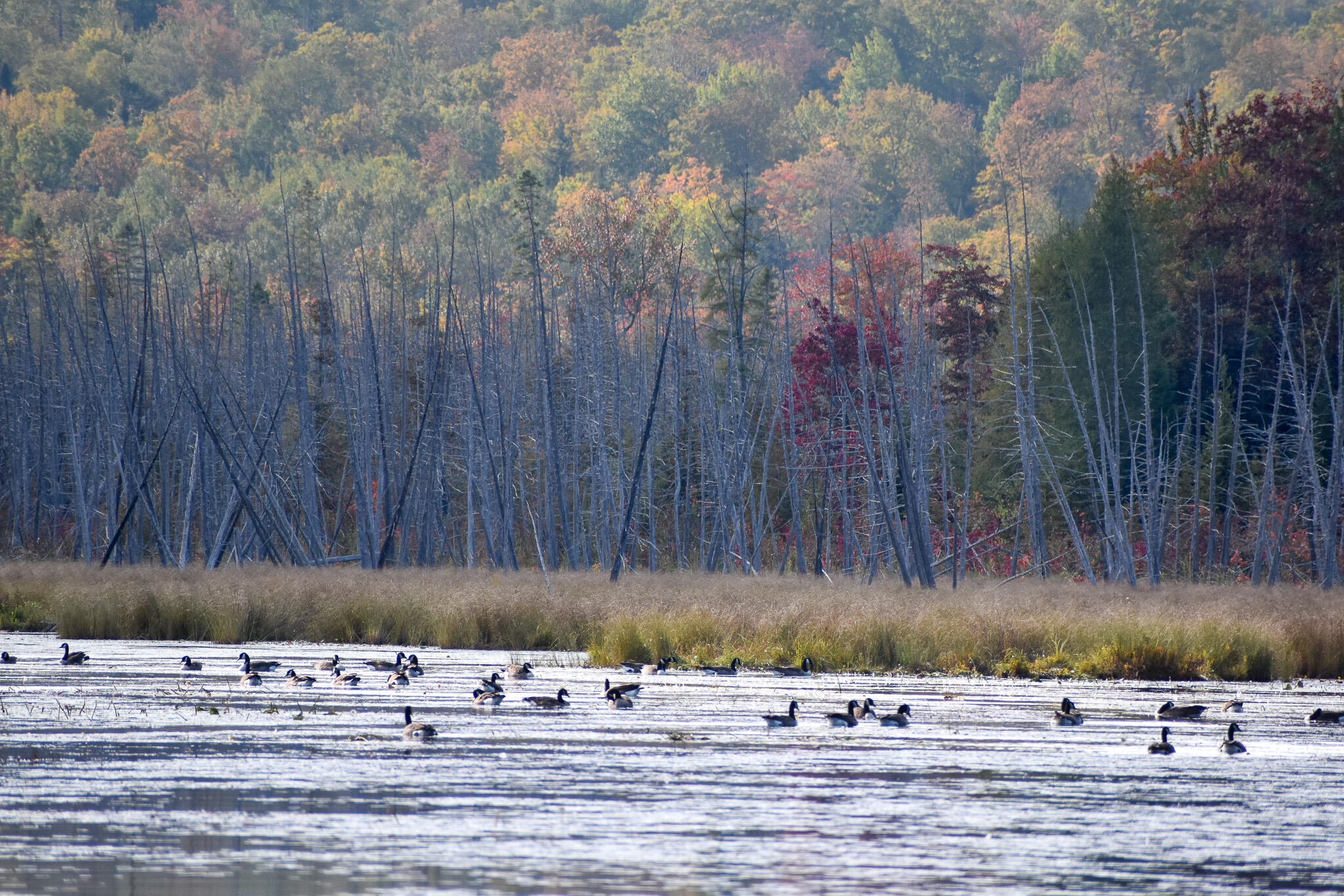 54 Carver Road Milo ME 04463