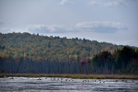 54 Carver Road Milo ME 04463