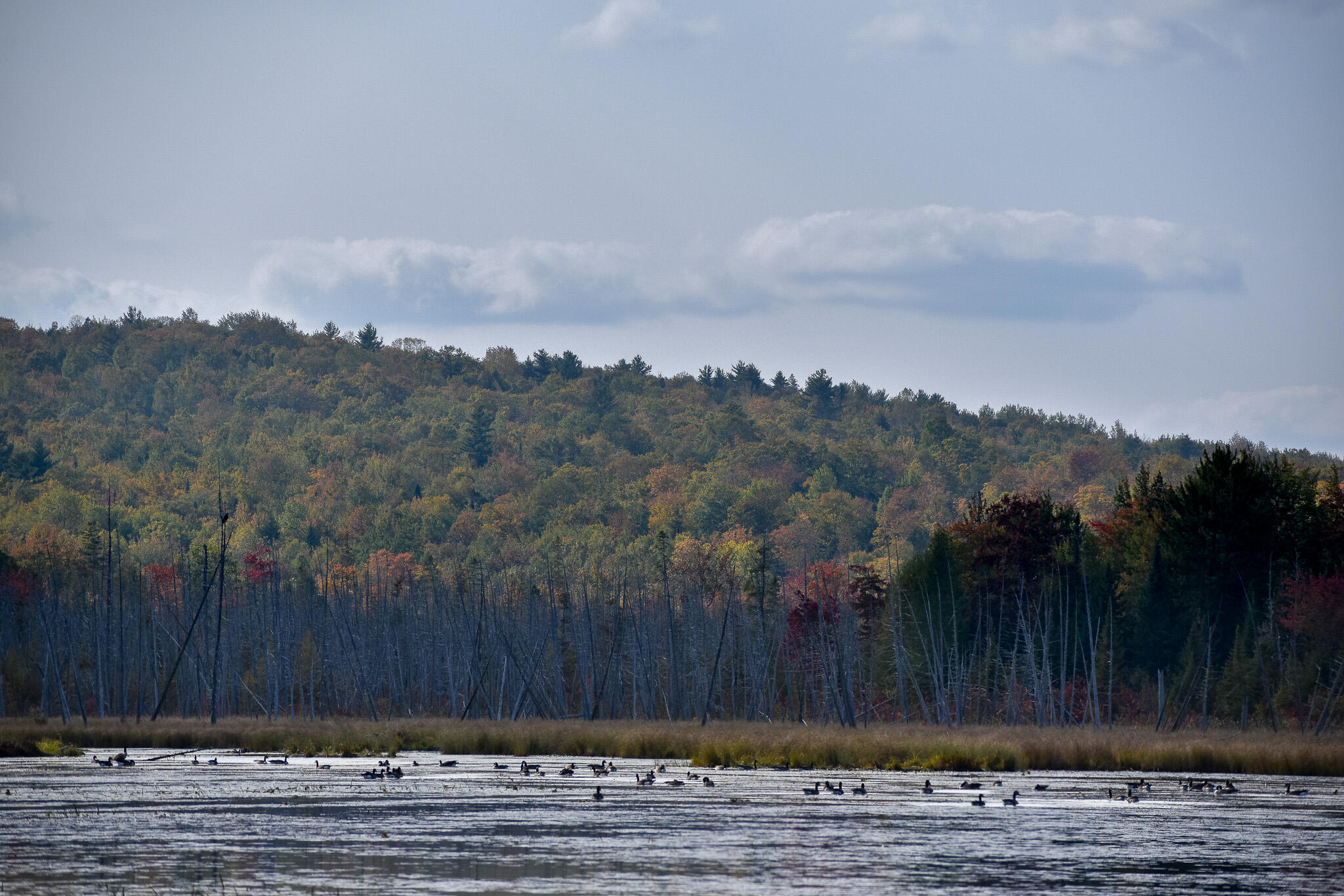 54 Carver Road Milo ME 04463