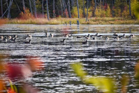 54 Carver Road Milo ME 04463