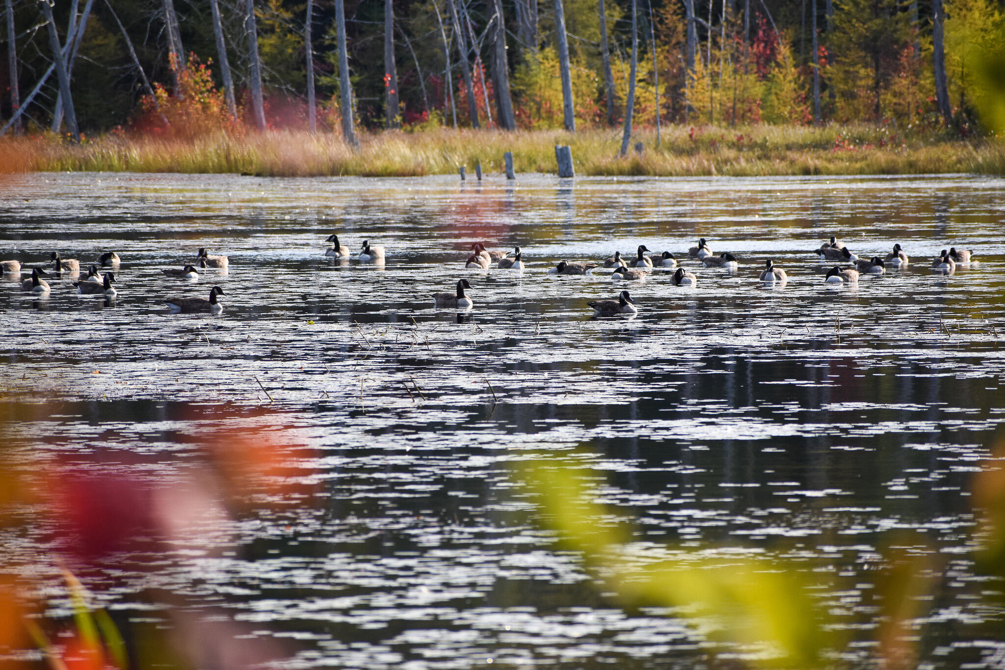 54 Carver Road Milo ME 04463