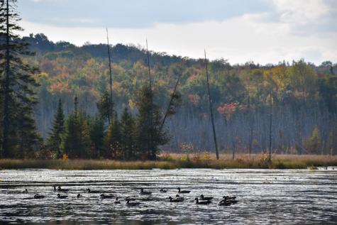 54 Carver Road Milo ME 04463