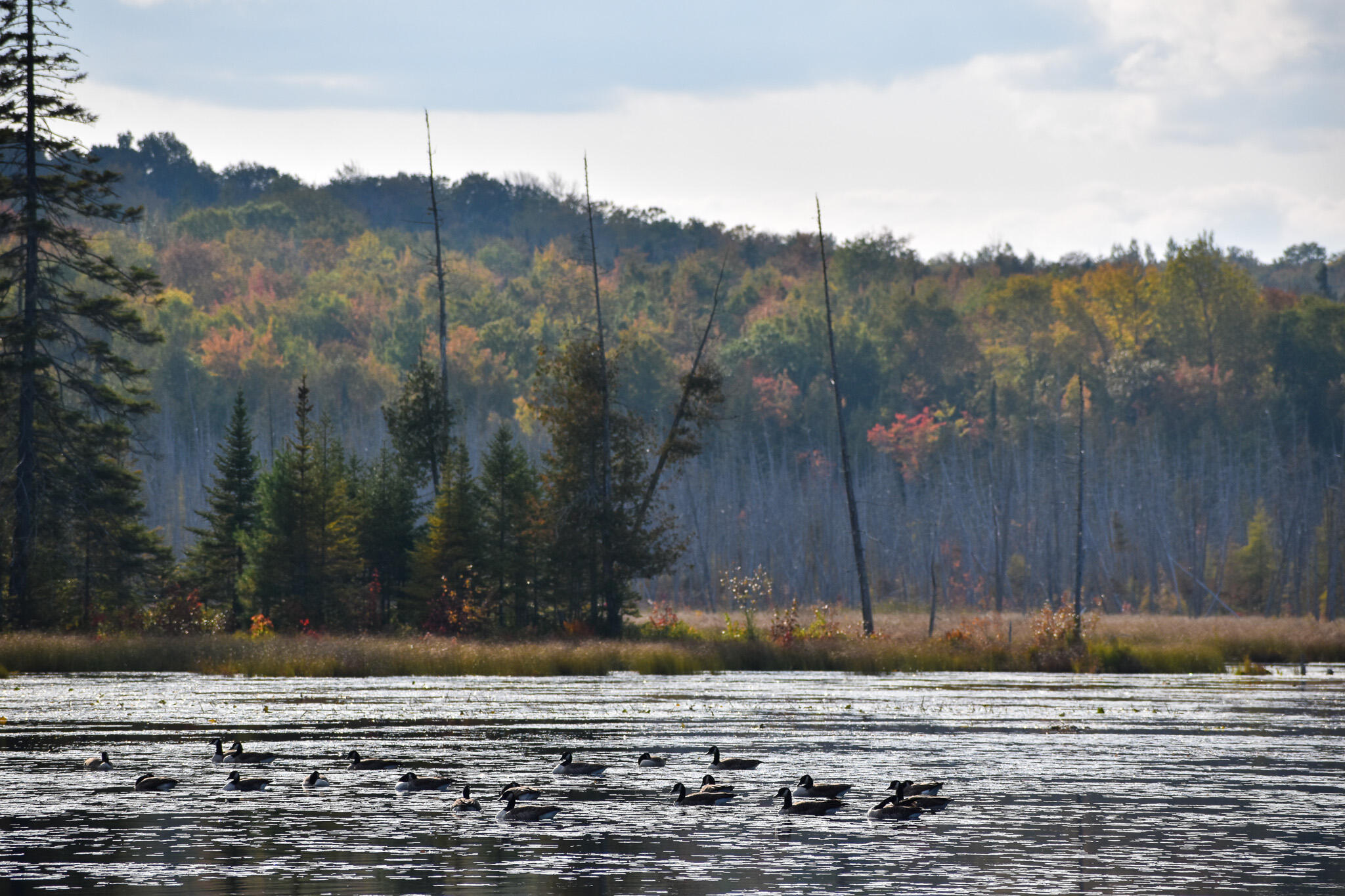 54 Carver Road Milo ME 04463