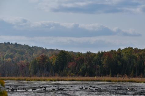 54 Carver Road Milo ME 04463