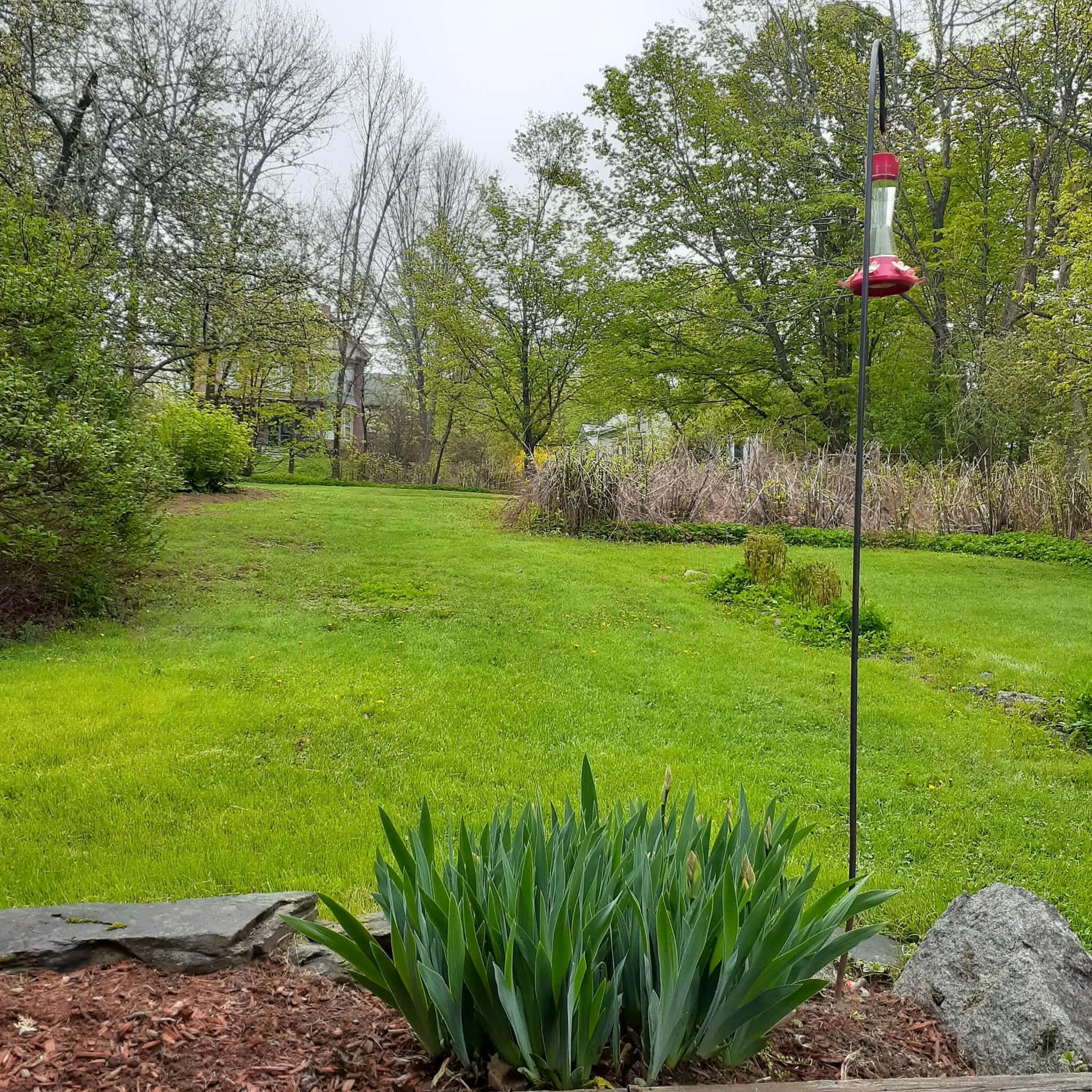 61 Pleasant Street Dexter ME 04930