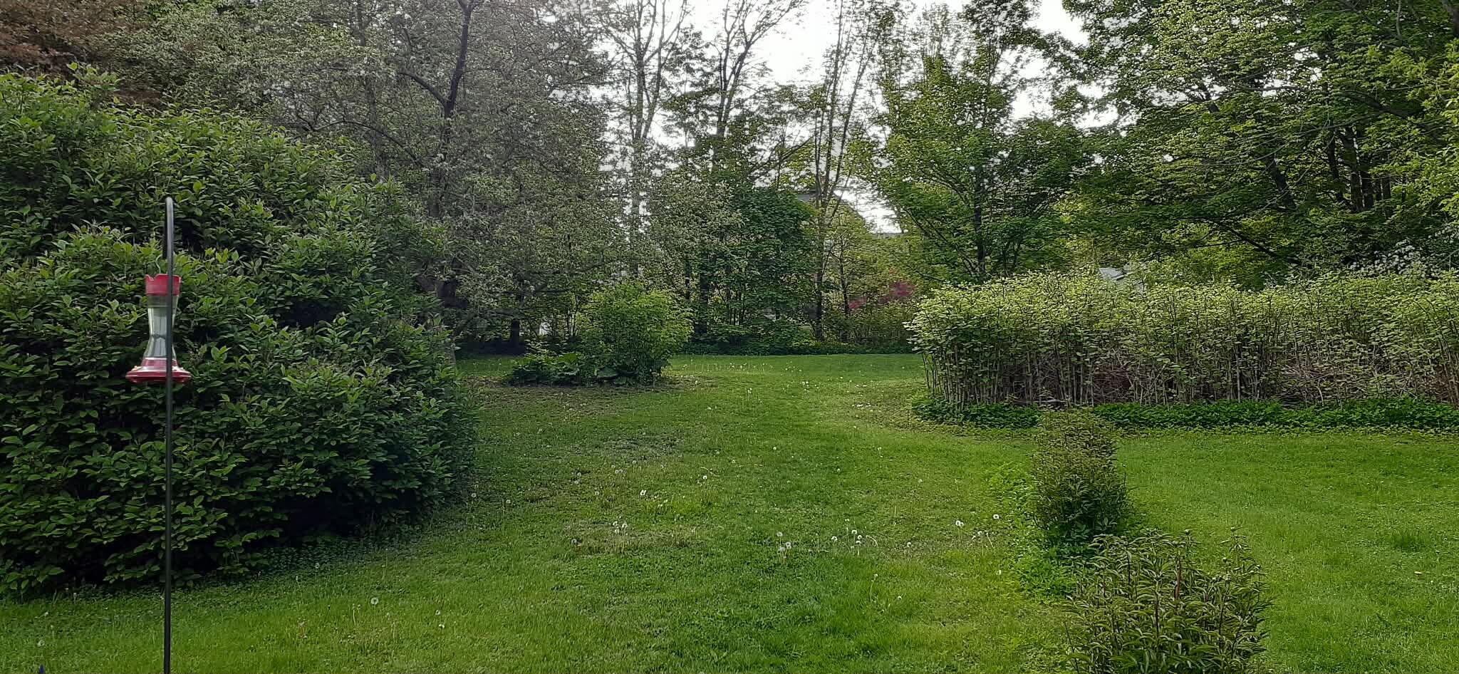 61 Pleasant Street Dexter ME 04930