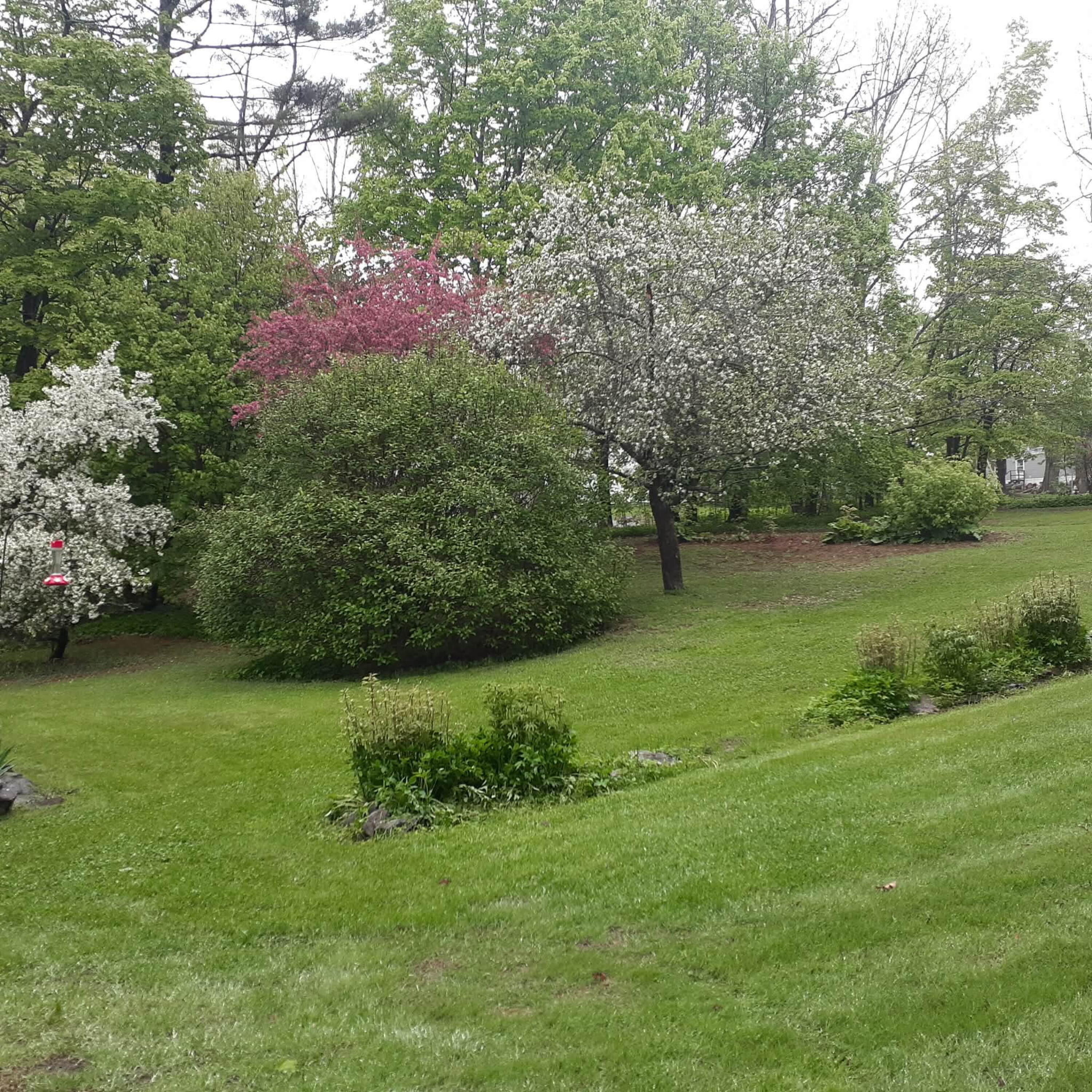 61 Pleasant Street Dexter ME 04930