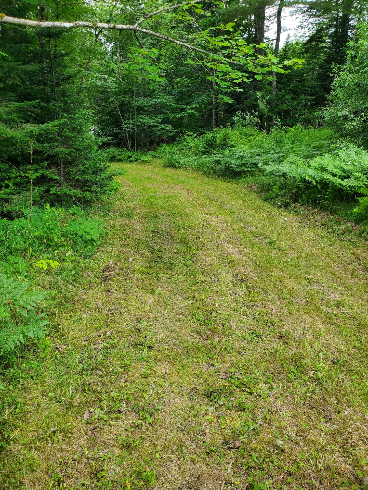 1820 Davis Street Ebeemee Twp ME 04414