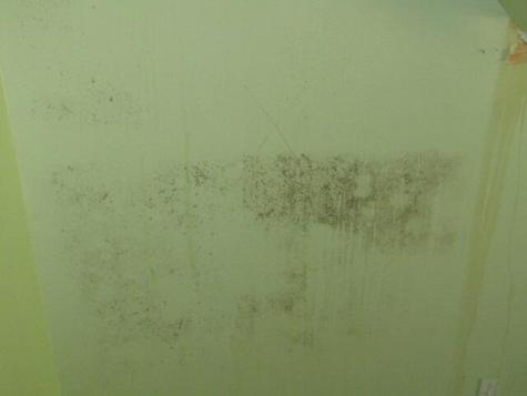 55 Londonderry Lane Belfast ME 04915