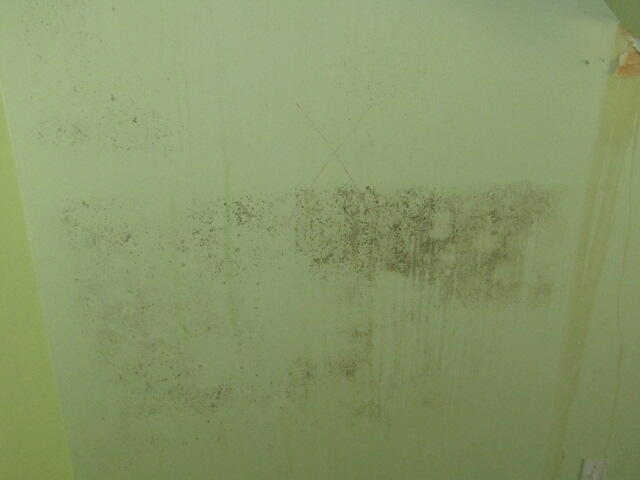 55 Londonderry Lane Belfast ME 04915