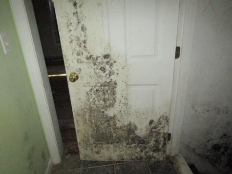 55 Londonderry Lane Belfast ME 04915