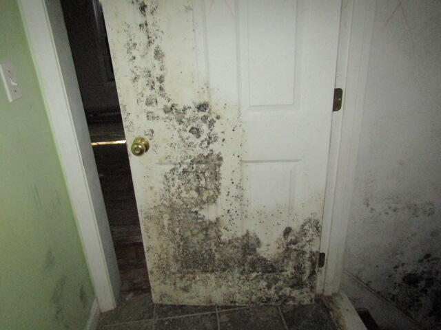 55 Londonderry Lane Belfast ME 04915