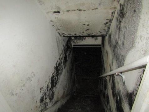 55 Londonderry Lane Belfast ME 04915