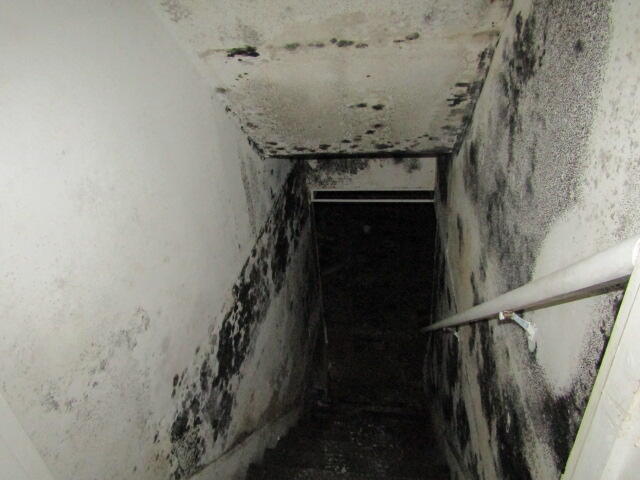 55 Londonderry Lane Belfast ME 04915