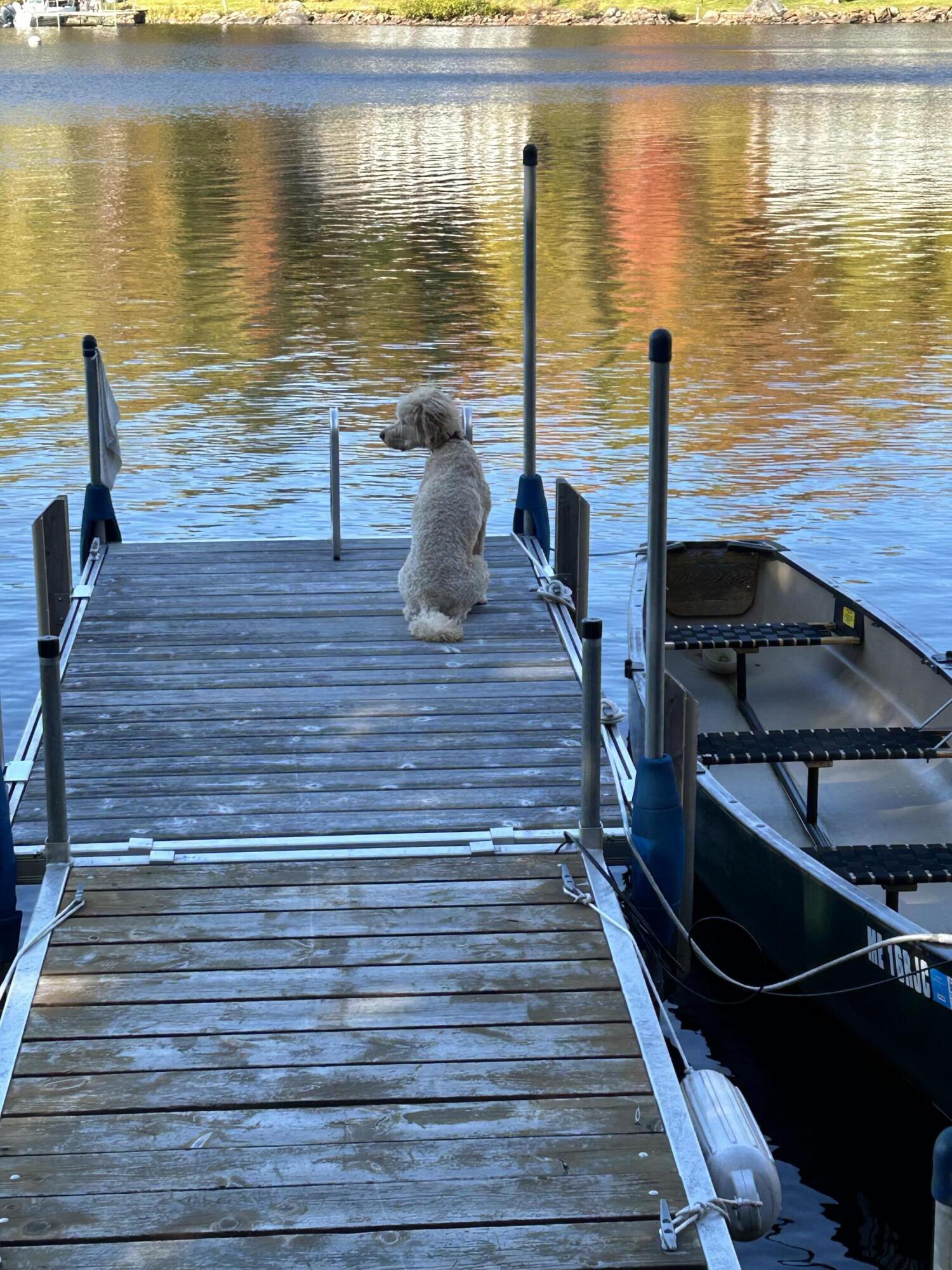 3 Wick Up Lane Sandy River Plt ME 04970