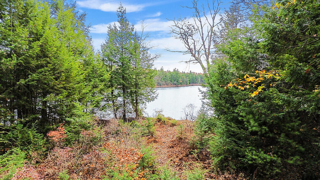 88 Piddock Lane Fayette ME 04349