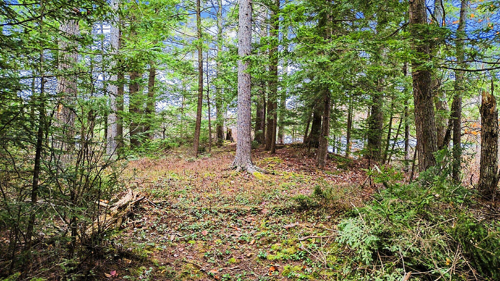 88 Piddock Lane Fayette ME 04349