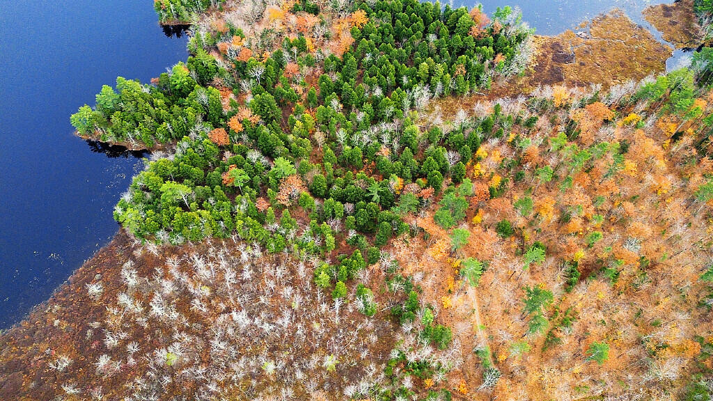 88 Piddock Lane Fayette ME 04349