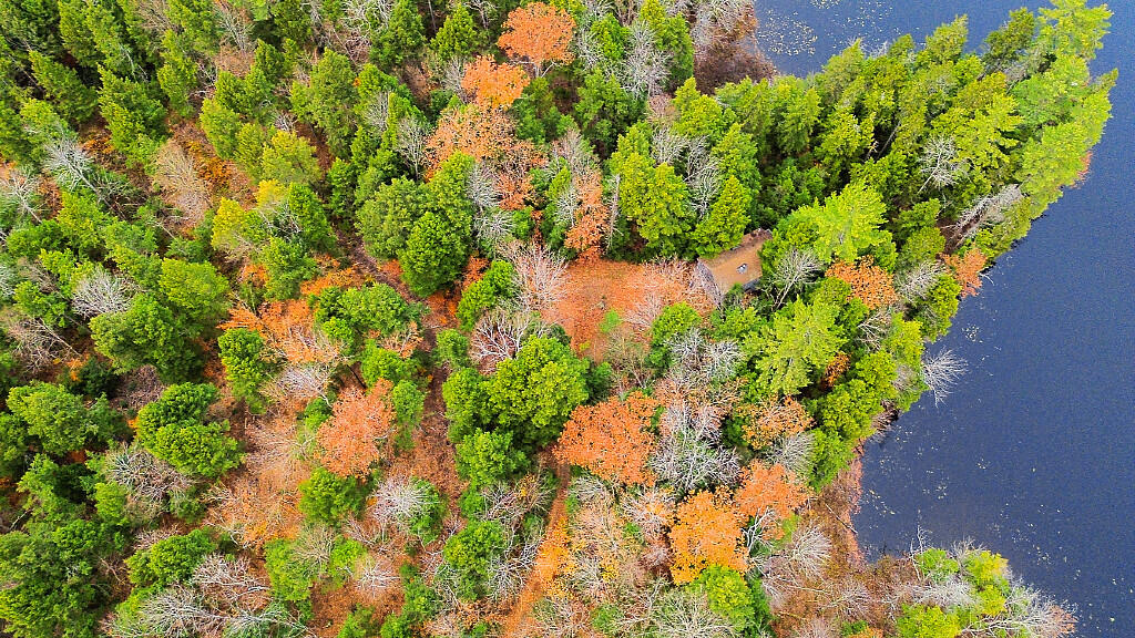 88 Piddock Lane Fayette ME 04349