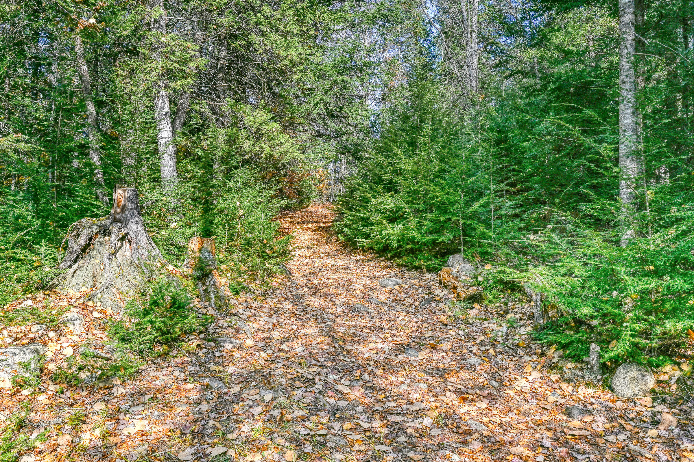 70 Morgan Road Burnham ME 04922