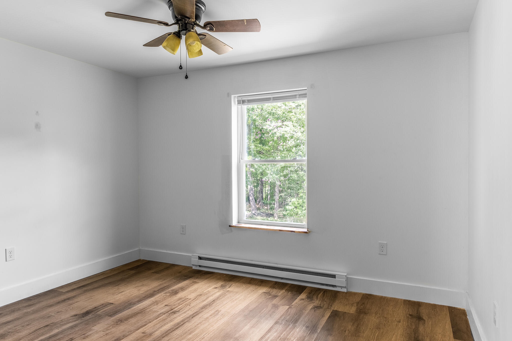 631 Essex Street Bangor ME 04401