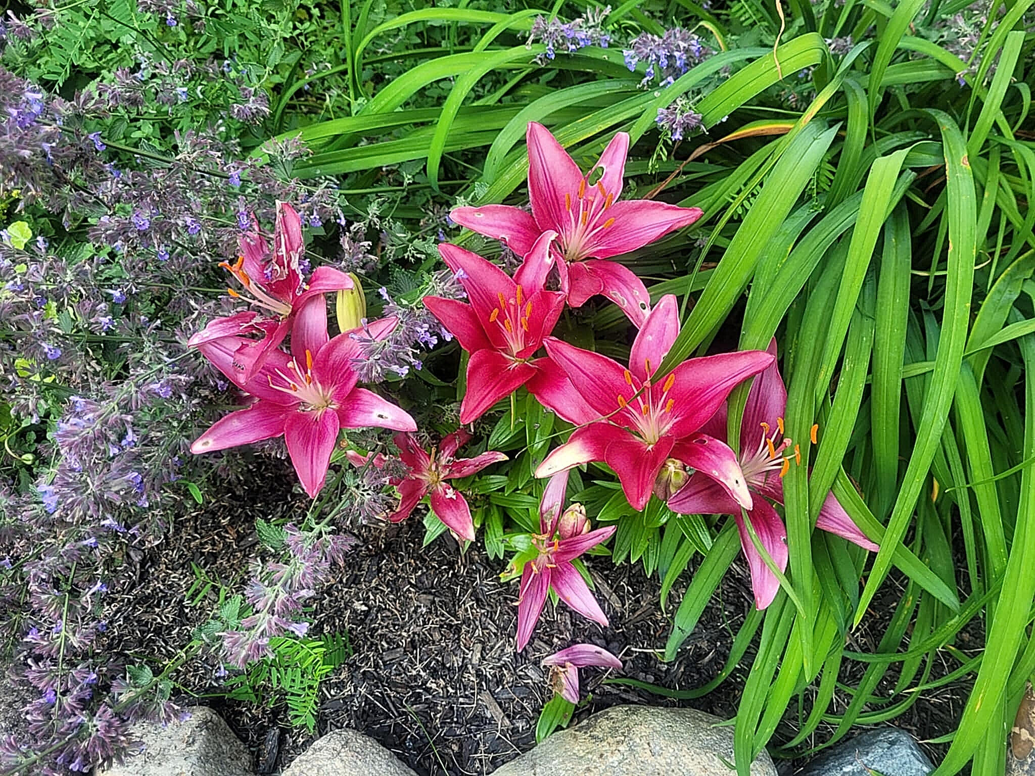 1511 Main Road Westport Island ME 04578