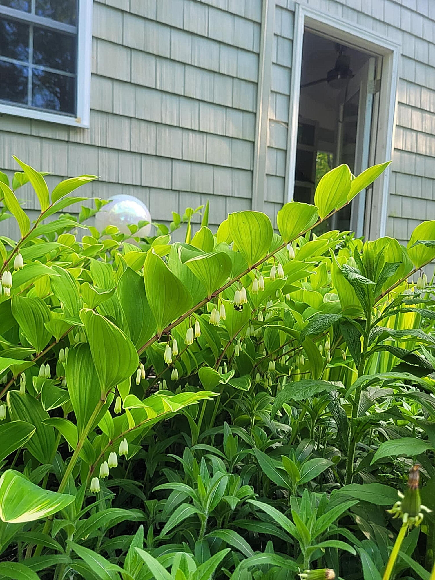 1511 Main Road Westport Island ME 04578