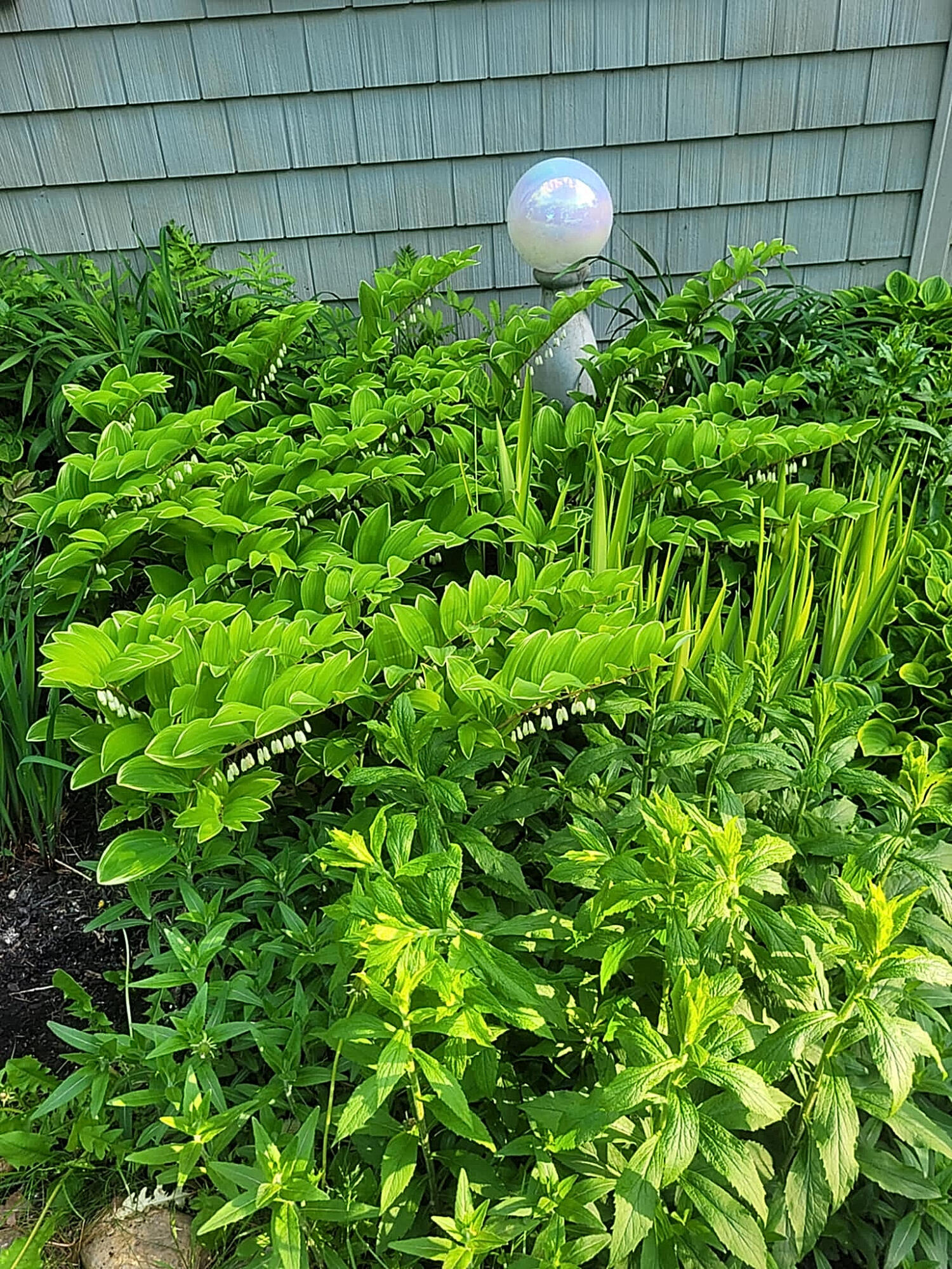 1511 Main Road Westport Island ME 04578