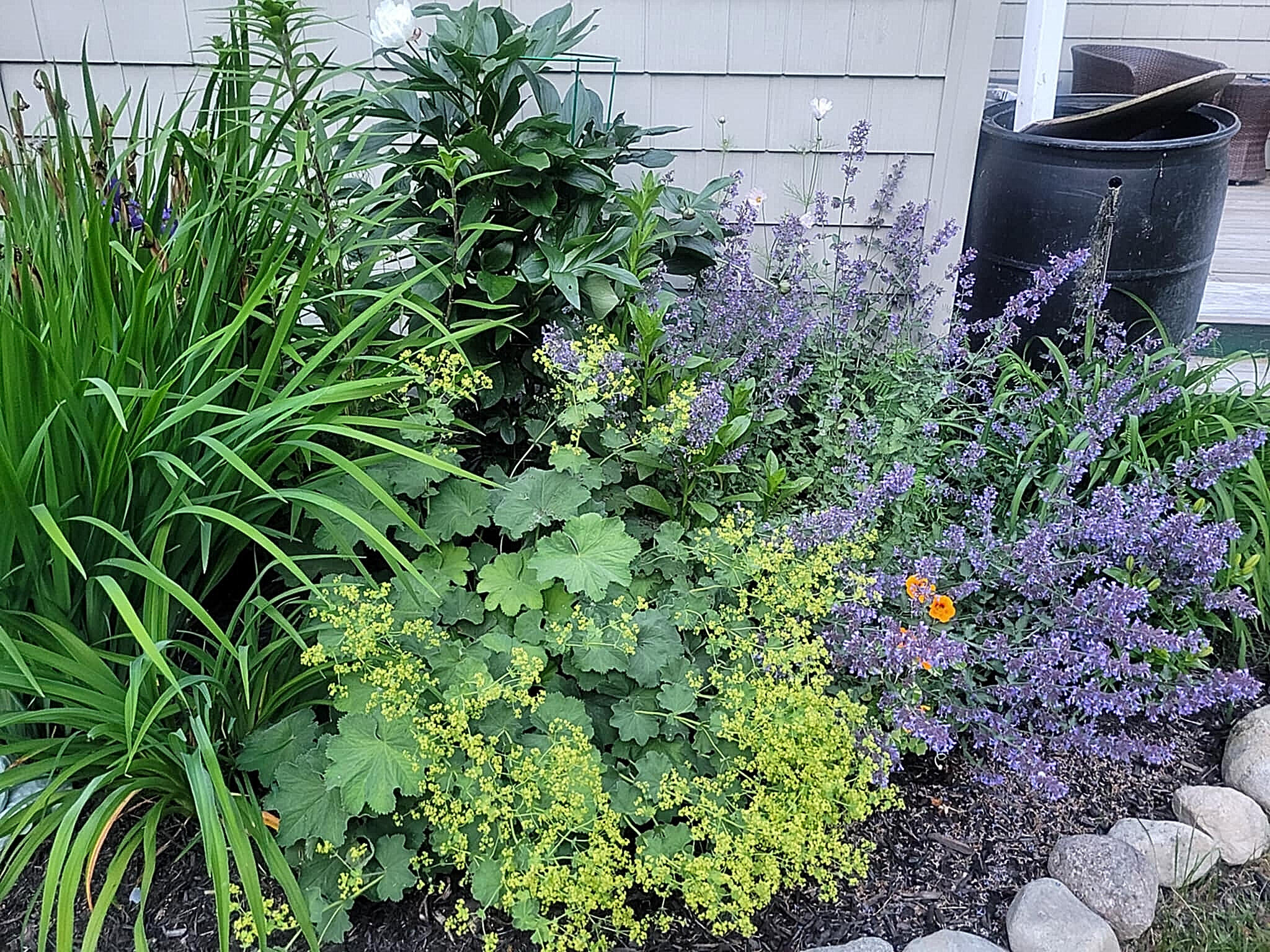 1511 Main Road Westport Island ME 04578