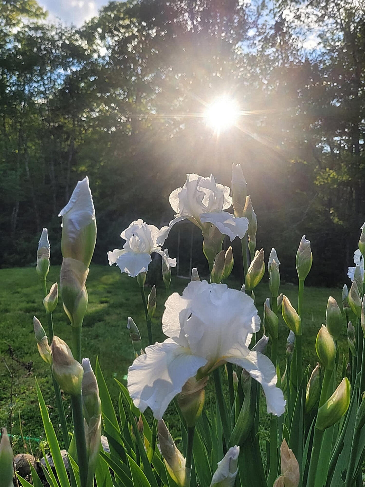 1511 Main Road Westport Island ME 04578