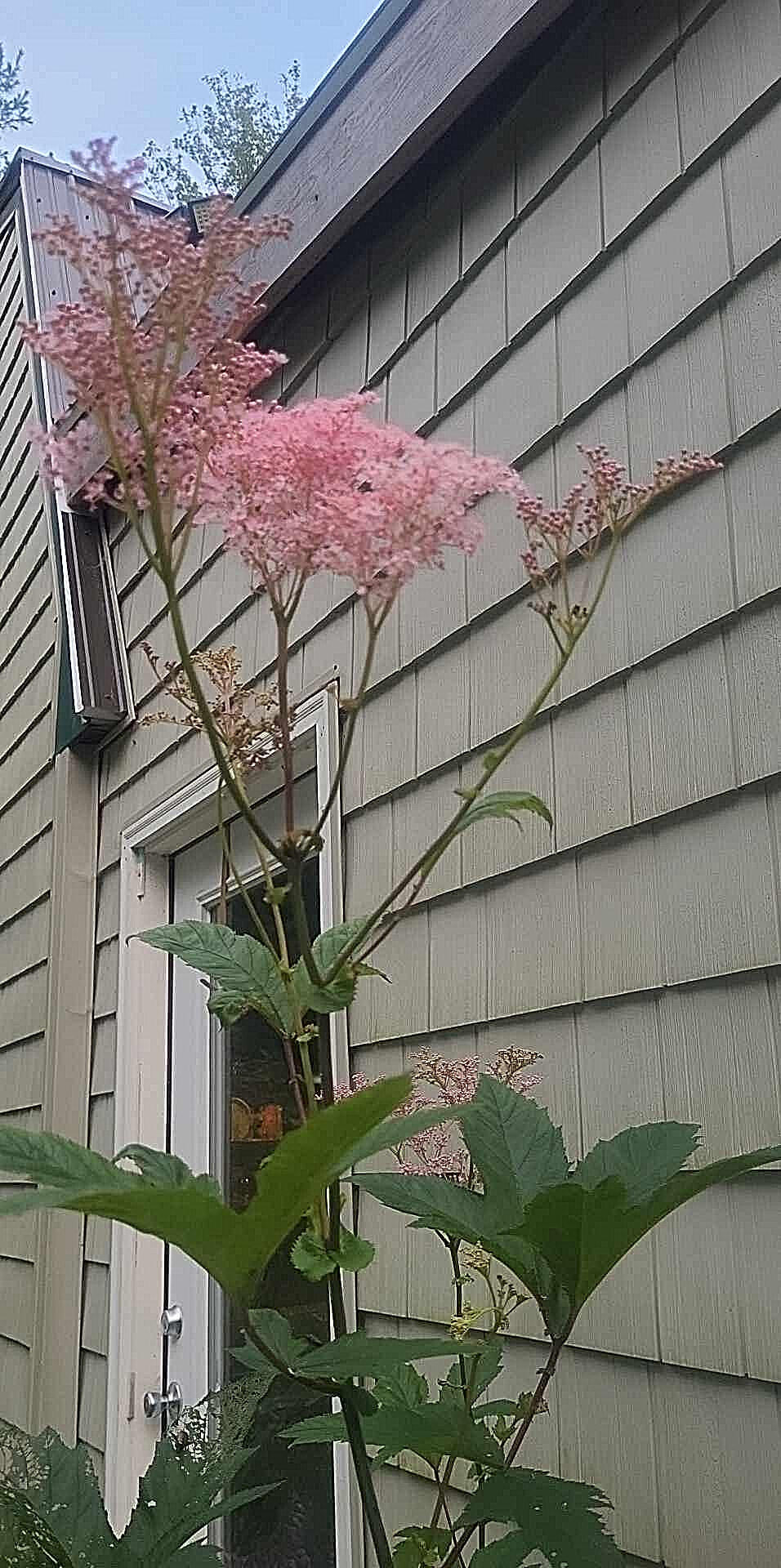 1511 Main Road Westport Island ME 04578