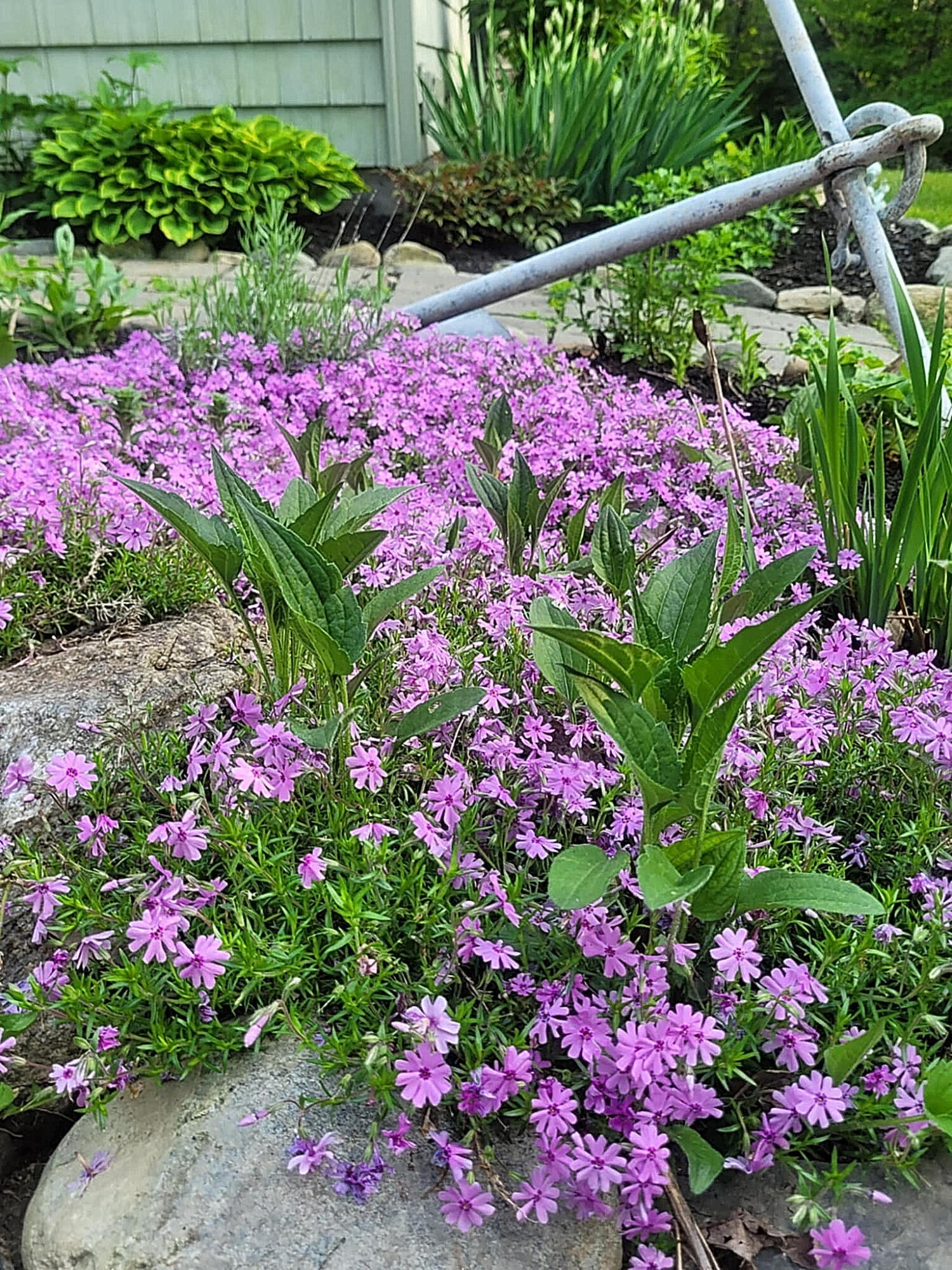 1511 Main Road Westport Island ME 04578