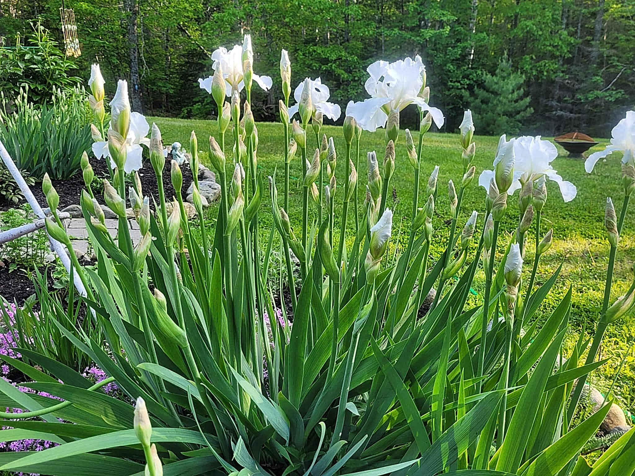 1511 Main Road Westport Island ME 04578